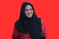Anggota DPR RI Sarifah Ainun Jariyah Menekankan agar Pemerintah Mengkaji Ulang Penerapan Payment ID. (dok)