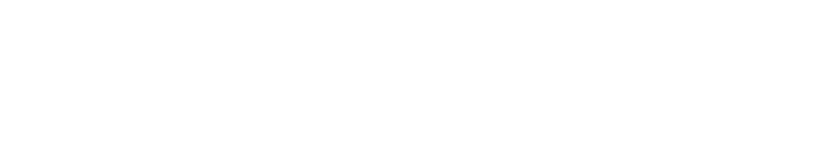 logo-footer