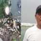 Ribuan Ikan di Situ Cangkring, Kota Tangerang mendadak mati diduga tercemar limbah pabrik. (Dok)