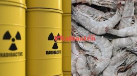 Udang Beku di Provinsi Banten Terkontaminasi Radioaktif dari Pabrik di Cikande, Kabupaten Serang. (Dok)