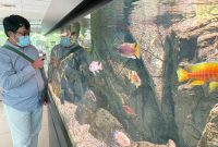 Pemkot Tangsel Sewa Aquarium guna mempercatik ruangan, Doc (Ist/Totalbanten.com)