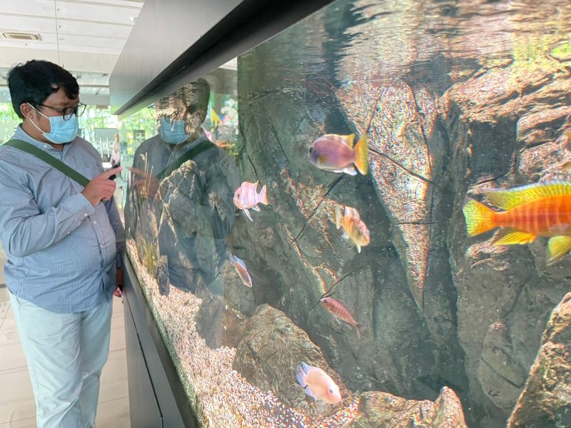 Pemkot Tangsel Sewa Aquarium guna mempercatik ruangan, Doc (Ist/Totalbanten.com)