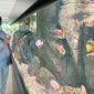 Pemkot Tangsel Sewa Aquarium guna mempercatik ruangan, Doc (Ist/Totalbanten.com)