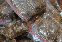 Ilustrasi : Tembakau Sintetis , (Dok)