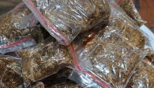 Ilustrasi : Tembakau Sintetis , (Dok)