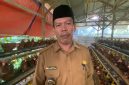 Badan Usaha Milik Desa Cilayang, Kecamatan Cikeusal Kembangkan Ternak Ayam Petelur,  Namun Pemasaran Masih Jadi Tantangan Hingga Kini, dok; (Ipung). 