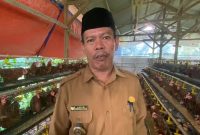 Badan Usaha Milik Desa Cilayang, Kecamatan Cikeusal Kembangkan Ternak Ayam Petelur,  Namun Pemasaran Masih Jadi Tantangan Hingga Kini, dok; (Ipung). 