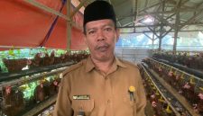 Badan Usaha Milik Desa Cilayang, Kecamatan Cikeusal Kembangkan Ternak Ayam Petelur,  Namun Pemasaran Masih Jadi Tantangan Hingga Kini, dok; (Ipung). 