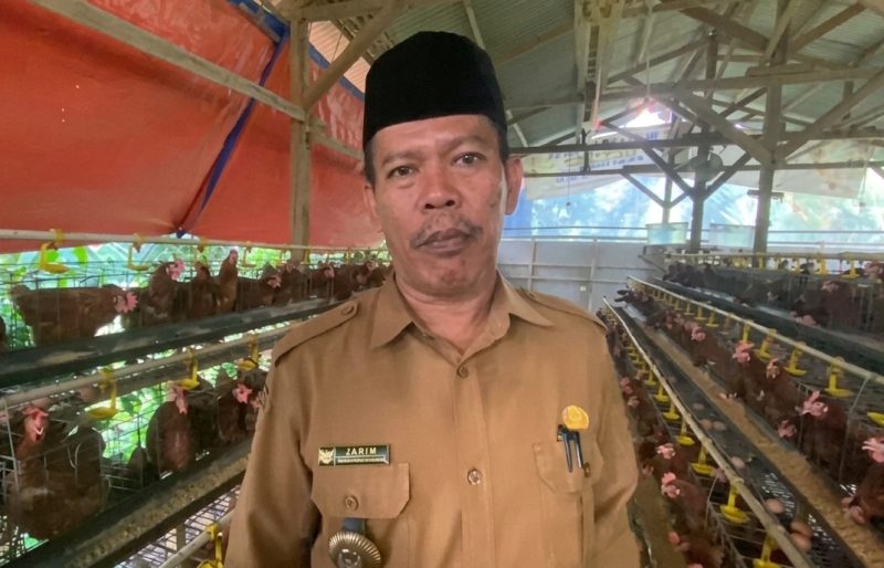 Badan Usaha Milik Desa Cilayang, Kecamatan Cikeusal Kembangkan Ternak Ayam Petelur,  Namun Pemasaran Masih Jadi Tantangan Hingga Kini, dok; (Ipung). 