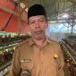 Badan Usaha Milik Desa Cilayang, Kecamatan Cikeusal Kembangkan Ternak Ayam Petelur,  Namun Pemasaran Masih Jadi Tantangan Hingga Kini, dok; (Ipung). 