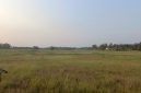 40 Hektar Lebih Sawah di Binong Pamarayan mengalami Puso, Dok (Pung/Totalbanten.com)