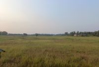 40 Hektar Lebih Sawah di Binong Pamarayan mengalami Puso, Dok (Pung/Totalbanten.com)