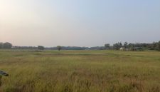 40 Hektar Lebih Sawah di Binong Pamarayan mengalami Puso, Dok (Pung/Totalbanten.com)