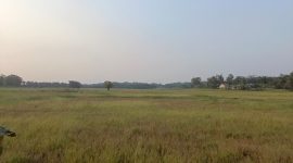 40 Hektar Lebih Sawah di Binong Pamarayan mengalami Puso, Dok (Pung/Totalbanten.com)