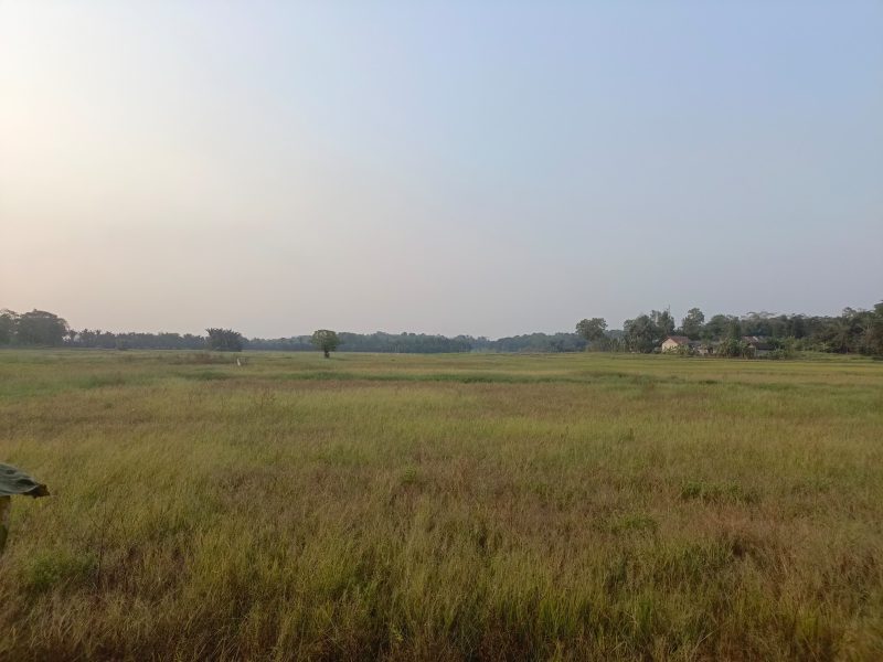 40 Hektar Lebih Sawah di Binong Pamarayan mengalami Puso, Dok (Pung/Totalbanten.com)