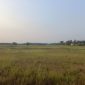 40 Hektar Lebih Sawah di Binong Pamarayan mengalami Puso, Dok (Pung/Totalbanten.com)