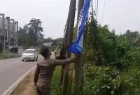 Satpol PP Kota Serang menertibkan puluhan bendera Partai Demokrat yang dipasang di sejumlah ruas jalan, Dok : (Wkn/Totalbanten.com)