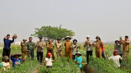 Panen Raya Bawang Merah, Ratu Tani Bahagia (dok;totalbanten). 