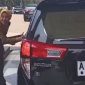 Pemerintah Kabupaten Pandeglang Buka Suara Terkait Plat Mobil Bupati (Gun/totalbanten). 