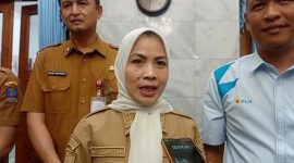 Bupati Serang, Ratu Rachmatuzzakiyah Klaim Rasio Elektrifikasi di Kabupaten Serang (Pung/totalbanten). 
