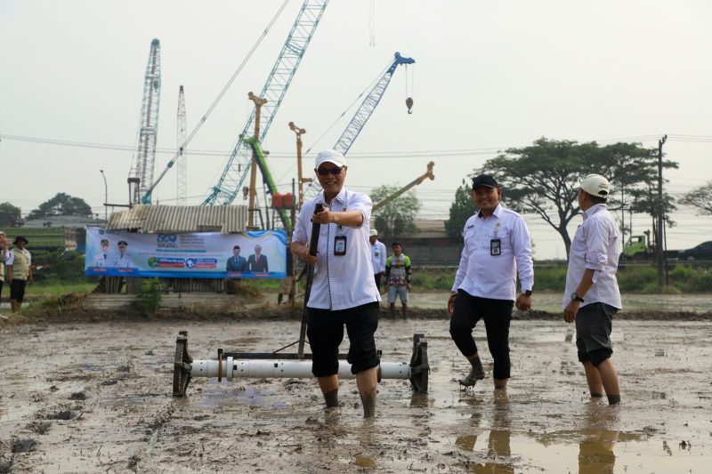 Suharjo, Kepala Dinas Ketahanan Pangan dan Pertanian Kabupaten Serang (Pung/totalbanten). 