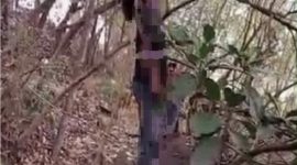 Peria Tanpa Identitas Tergantung di Pohon Petai cina di Kecamatan Keragilan, Kabupaten Serang, Dok (Total Banten)