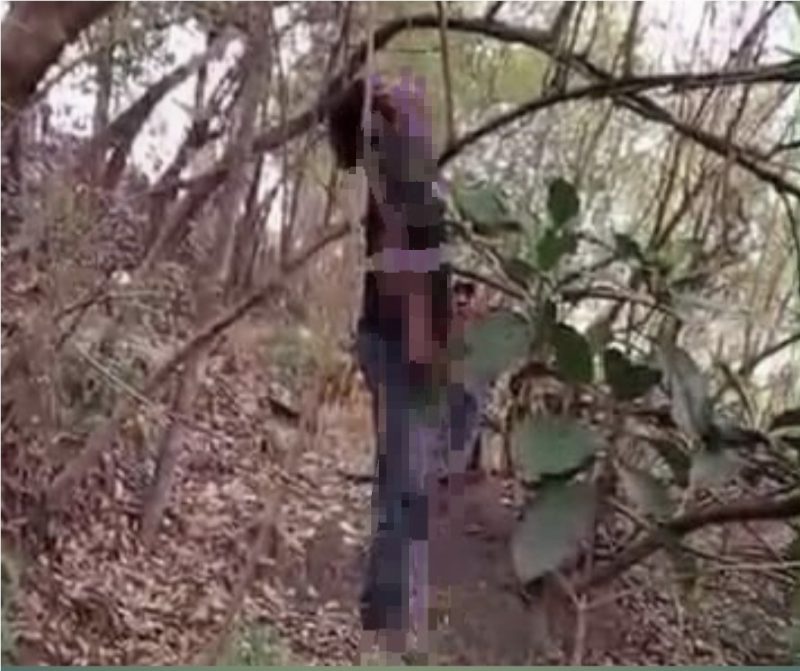 Peria Tanpa Identitas Tergantung di Pohon Petai cina di Kecamatan Keragilan, Kabupaten Serang, Dok (Total Banten)