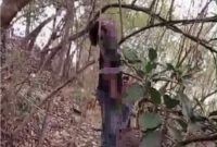  Jenazah Seorang Pria yang tergantung di Pohon petai cina diketahui bernama Arta  (29), warga Kecamatan Cikande. Kabupaten Serang. Dok (Total Banten)
