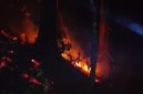 Kebakaran melanda kawasan hutan Perum Perhutani di Petak 44 Leuweung Kolot, Kecamatan Mancak, Kabupaten Serang, Dok (warga/Total Banten)