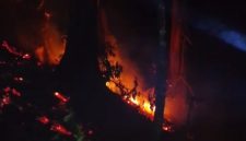 Kebakaran melanda kawasan hutan Perum Perhutani di Petak 44 Leuweung Kolot, Kecamatan Mancak, Kabupaten Serang, Dok (warga/Total Banten)