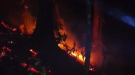 Kebakaran melanda kawasan hutan Perum Perhutani di Petak 44 Leuweung Kolot, Kecamatan Mancak, Kabupaten Serang, Dok (warga/Total Banten)