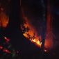 Kebakaran melanda kawasan hutan Perum Perhutani di Petak 44 Leuweung Kolot, Kecamatan Mancak, Kabupaten Serang, Dok (warga/Total Banten)